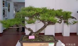 一时一景一心境 一时一景一心境