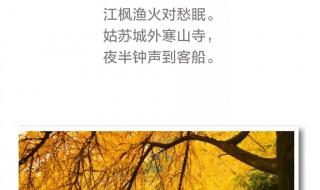 秋天古诗最好的10首