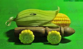 我的世界现实版僵尸