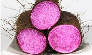 紫山药产地 紫山药产地