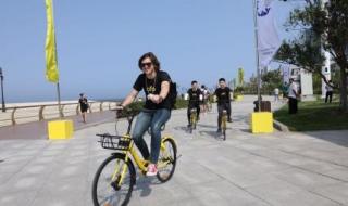 大连达沃斯 大连达沃斯