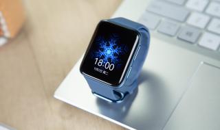 OPPOWATCH2 OPPOWATCH2