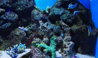 大连有什么好玩的地方