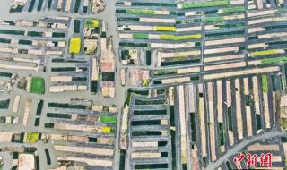 税务机关代码不能为空 税务机关代码不能为空