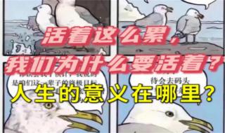 人为什么活着这么累