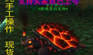 魔兽世界猎人稀有宝宝 魔兽世界猎人稀有宝宝