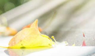 qq个性分组大全女生 qq个性分组大全女生