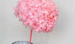 绣球怎么做手工制作 绣球怎么做手工制作