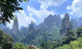 张家界需要多少钱 张家界需要多少钱