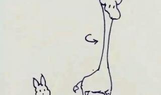 我想要和你白头到老 我想要和你白头到老