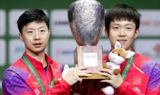 陈幸同乒乓球个人资料 陈幸同乒乓球个人资料