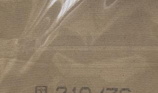 许昕正手用的什么胶皮 许昕正手用的什么胶皮